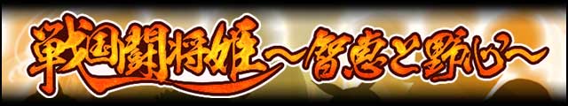 戦国闘将姫～智恵と野心～バナー.jpg