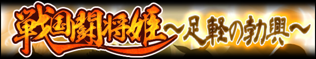 戦国闘将姫～足軽の勃興～バナー.jpg