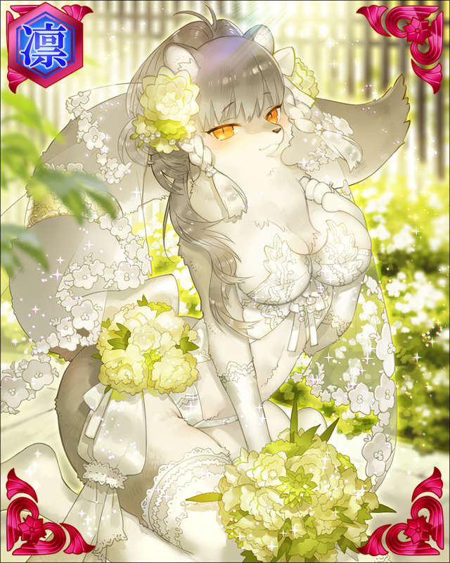 ［白衣礼装］朝比奈泰能-角隠婚鼬-.jpg