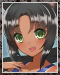 大山猫の一点白サムネ.jpg