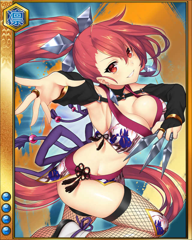藤林長門守-幻姿-sr004.jpg