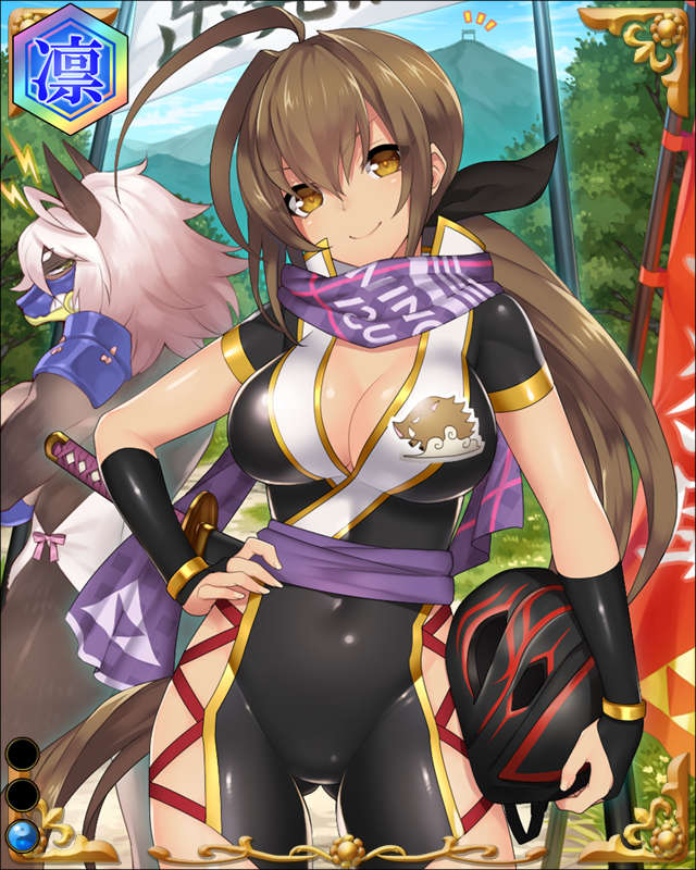 二曲輪猪助-疾風躯-ssr001.jpg