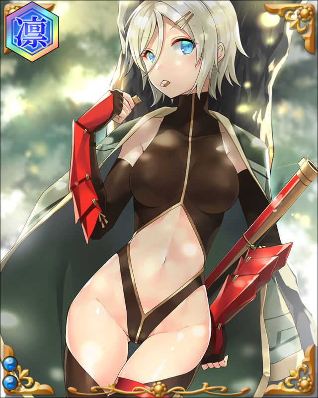 城戸弥左衛門-音羽郷-ssr002.jpg