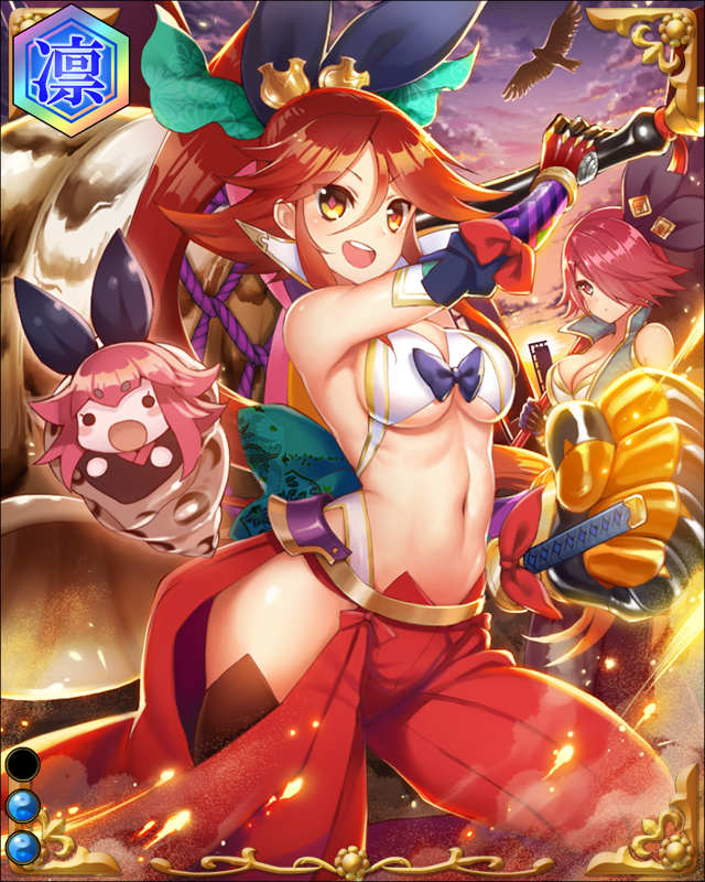 大久保忠世-文武葵支-ssr002.jpg