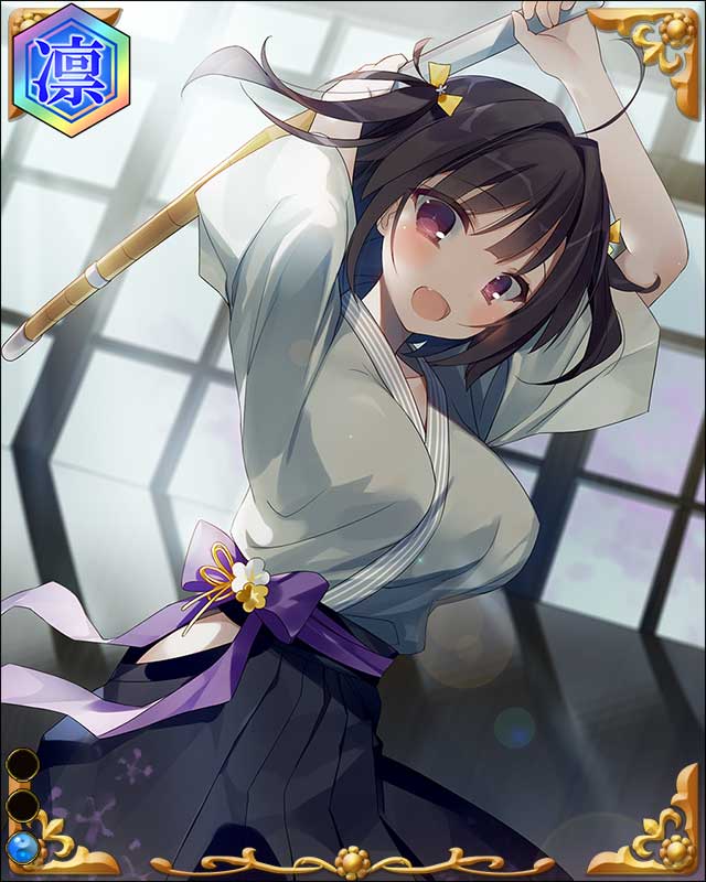 徳川義直-尾州公-ssr001.jpg