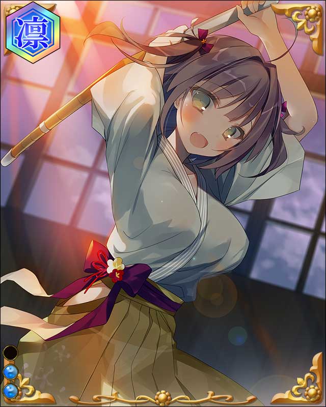 徳川義直-尾州公-ssr002.jpg