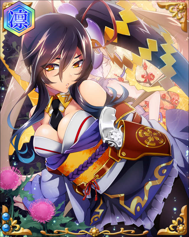 織田信行-背木瓜-ssr002.jpg