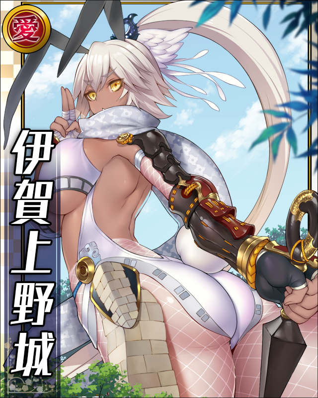 伊賀上野城.jpg