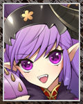 侍大将の角綱001s.jpg