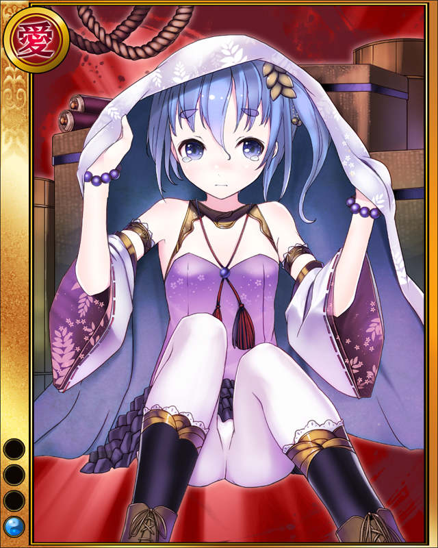 上杉憲政-泣狸-sr001.jpg