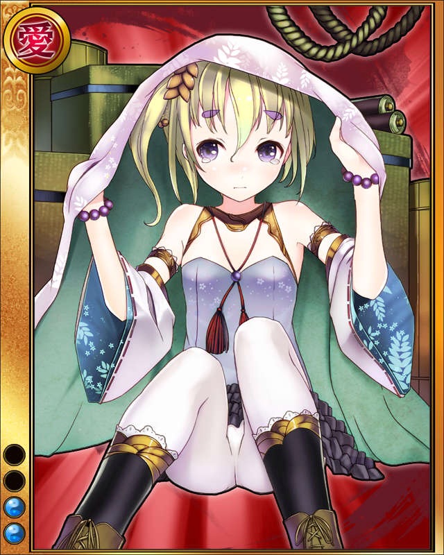上杉憲政-泣狸-sr002.jpg