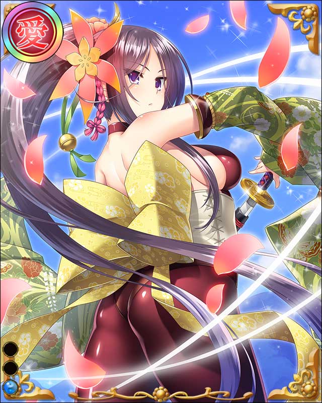 姉小路頼綱-中納言-ssr001.jpg