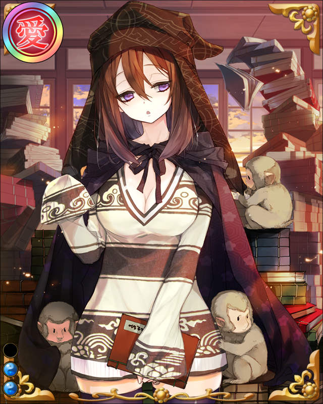 林羅山-腐儒猿-ssr002.jpg