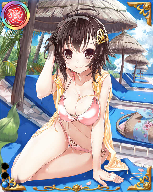 直江兼続-涼朝顔-ssr001.jpg