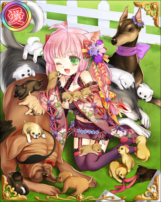 ［片野将］太田資正-家族犬-.jpg