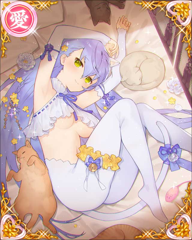 ［追憶愛猫］鍋島直茂-藩祖乃孤独-.jpg