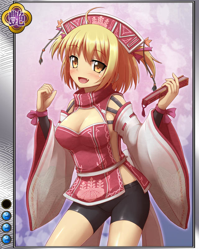 豊臣秀長r003.jpg