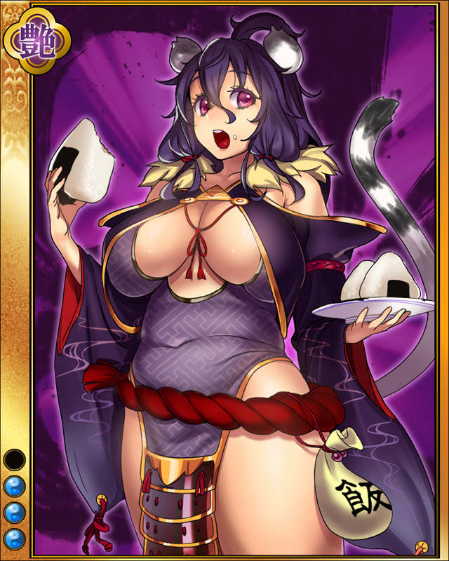 北条氏政sr003.jpg