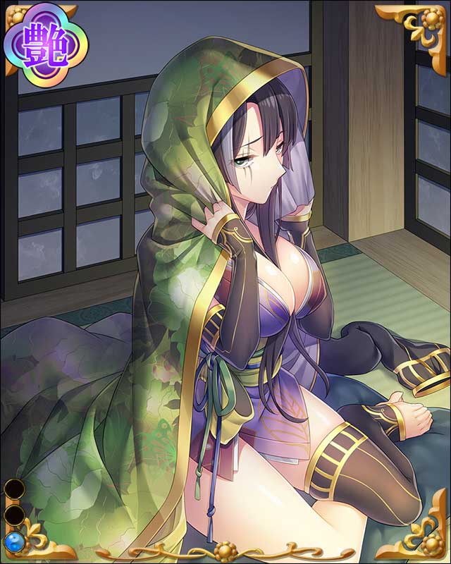 三枝守友-堅忍将-ssr001.jpg