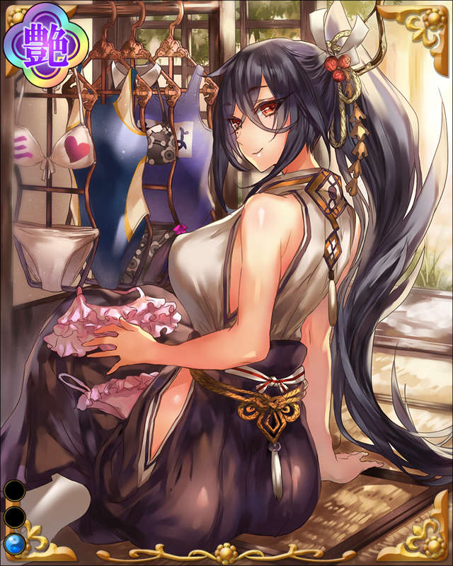 六角義賢-墨黒狼-ssr001.jpg