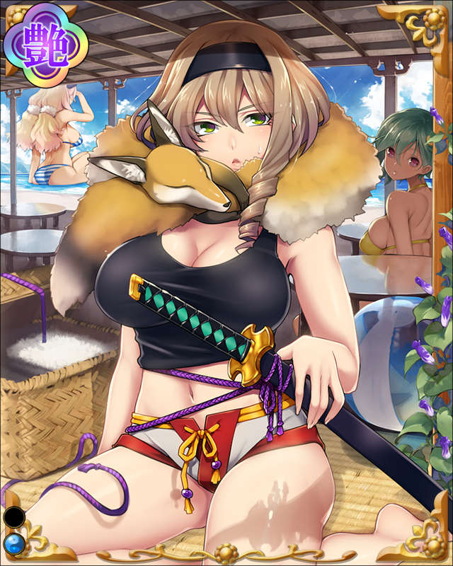 天童頼貞-楯無鶴-ssr001.jpg