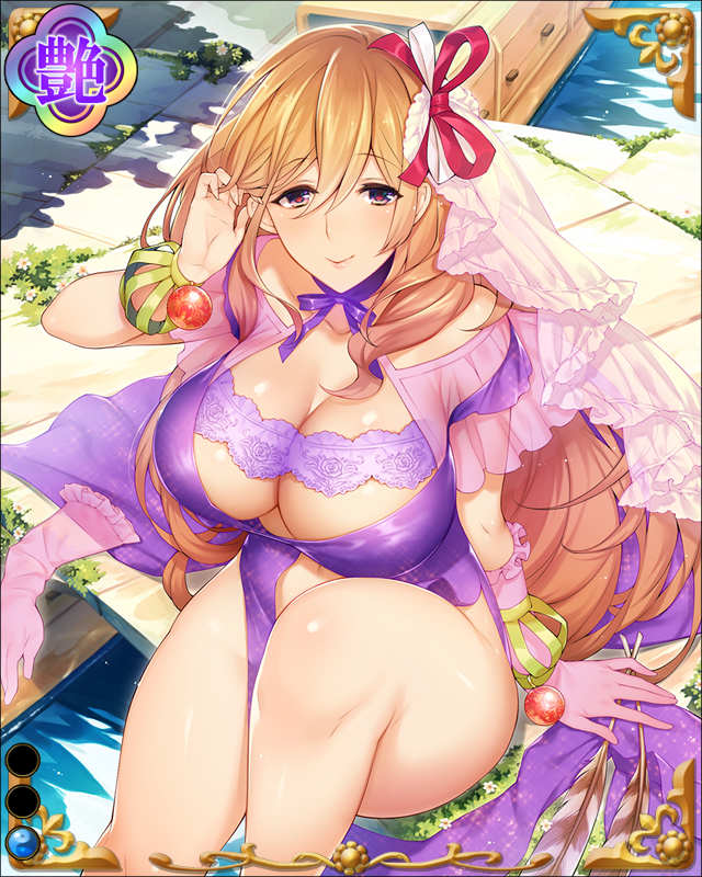 浅野長政-鷹羽調-ssr001.jpg