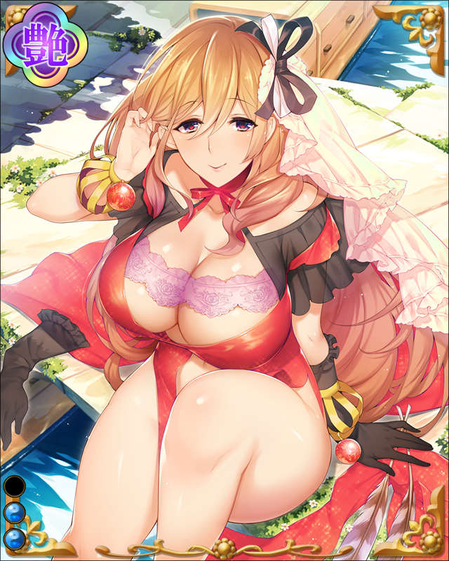浅野長政-鷹羽調-ssr002.jpg